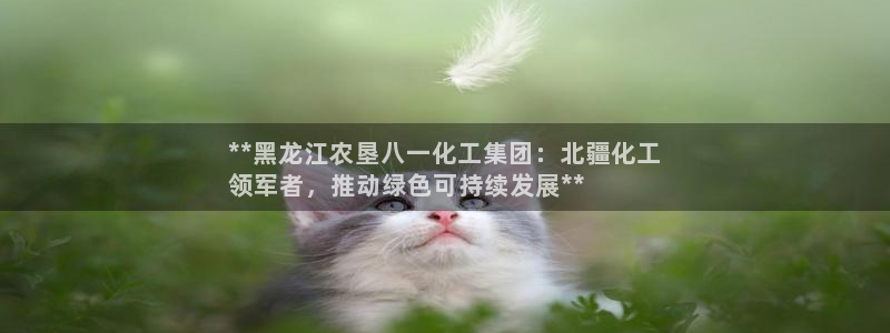 球盟会和中欧：**黑龙江农垦八一化工集团：北疆化工
领军者，