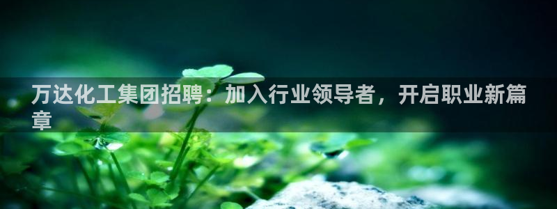 球盟会电子好下吗：万达化工集团招聘：加入行业领导者，开启职业