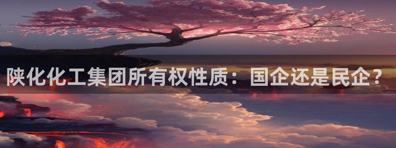球盟会出款黑了：陕化化工集团所有权性质：国企还是民企？