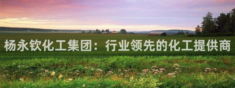 球盟会登录网址：杨永钦化工集团：行业领先的化工提供商