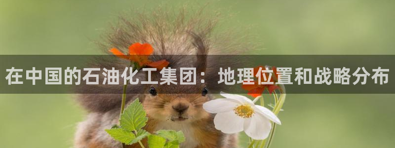球盟会里面有打牌的嘛知乎：在中国的石油化工集团：地理位置和战