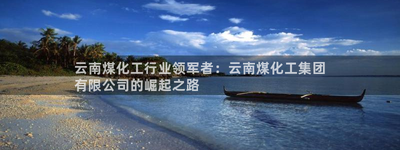 球盟会可以提现么：云南煤化工行业领军者：云南煤化工集团
有限