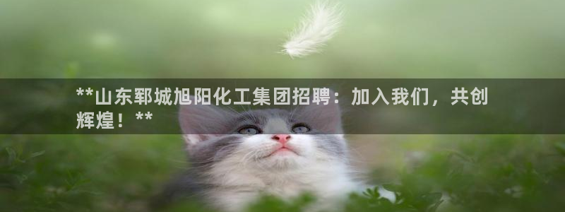 球盟会可以提现么是真的吗：**山东郓城旭阳化工集团招聘：加入