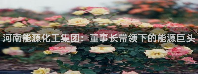 球盟会能退钱吗：河南能源化工集团：董事长带领下的能源巨头