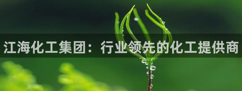 球盟会平台怎么样：江海化工集团：行业领先的化工提供商