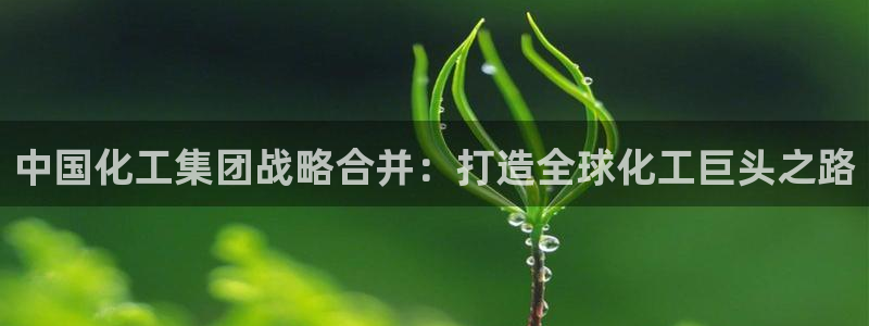 球盟会有没有黑单的活动：中国化工集团战略合并：打造全球化工巨