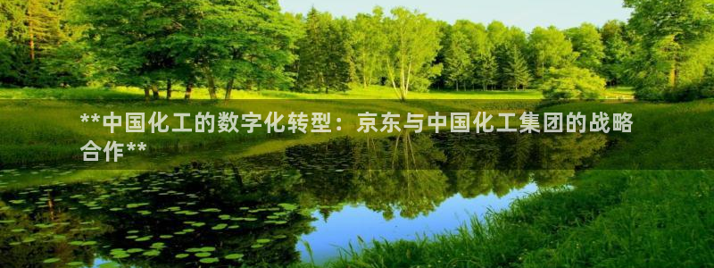 球盟会app安装：**中国化工的数字化转型：京东与中国化工集