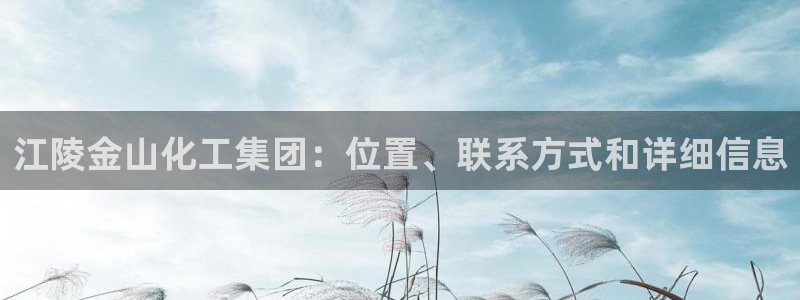 球盟会最新网：江陵金山化工集团：位置、联系方式和详细信息