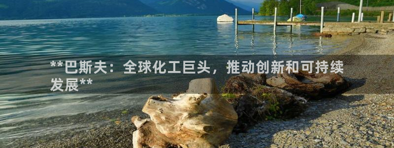 球盟会最新地址备用：**巴斯夫：全球化工巨头，推动创新和可持