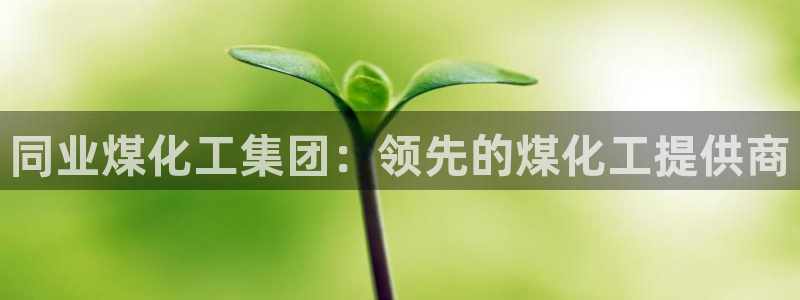 球盟会黑平台：同业煤化工集团：领先的煤化工提供商