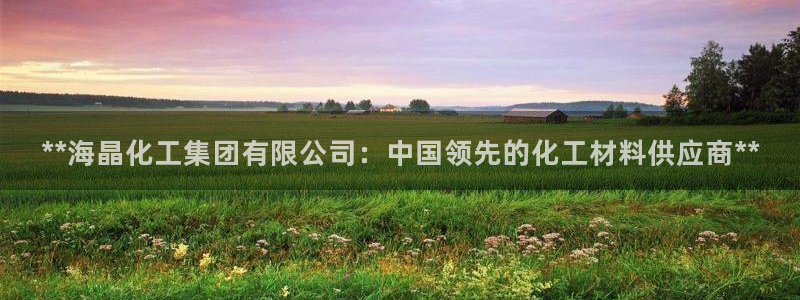 球盟会乐虎：**海晶化工集团有限公司：中国领先的化工材料供应