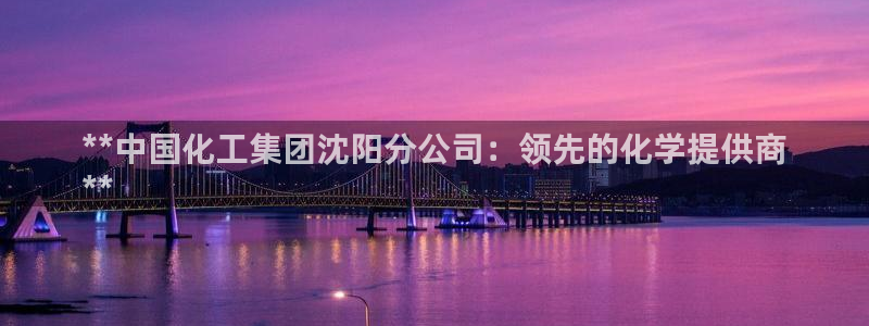 球盟会黑钱：**中国化工集团沈阳分公司：领先的化学提供商
*