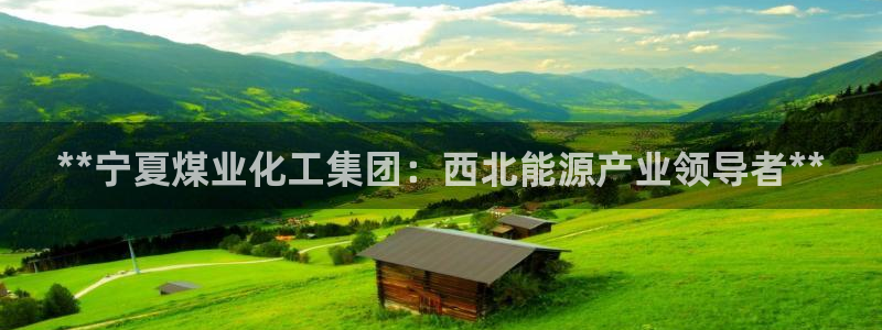 球盟会(中国)官方网站：**宁夏煤业化工集团：西北能源产业领