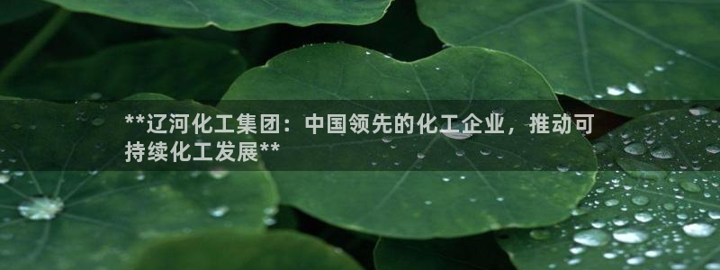 球盟会qmh网页版登录 - qm球盟会官方网站：**辽河化工