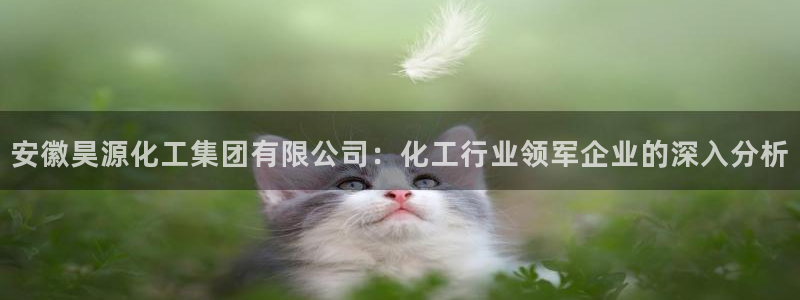 球盟会黑平台：安徽昊源化工集团有限公司：化工行业领军企业的深