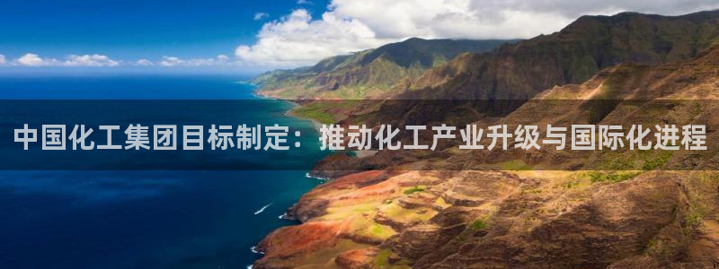 球盟会用的客服聊天是哪个软件