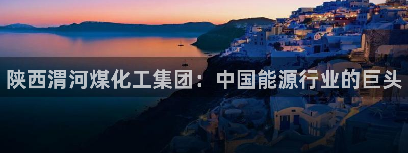 球盟会最新网：陕西渭河煤化工集团：中国能源行业的巨头