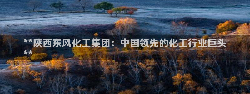 球盟会能退钱吗知乎：**陕西东风化工集团：中国领先的化工行业