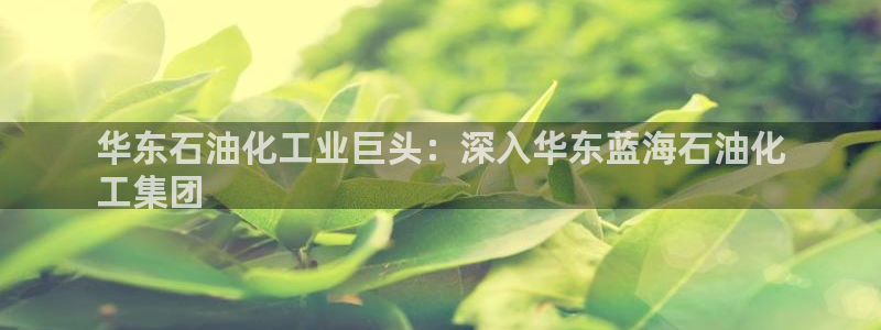 球盟会中国官方网站：华东石油化工业巨头：深入华东蓝海石油化
