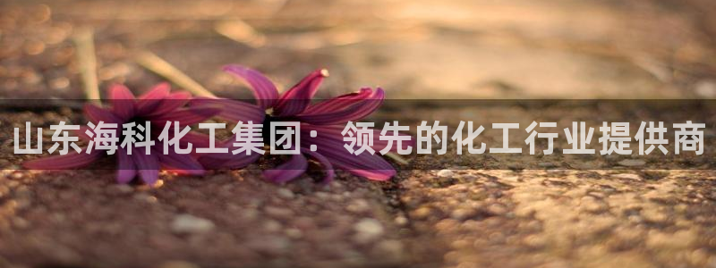 球盟会电子游戏平台：山东海科化工集团：领先的化工行业提供商