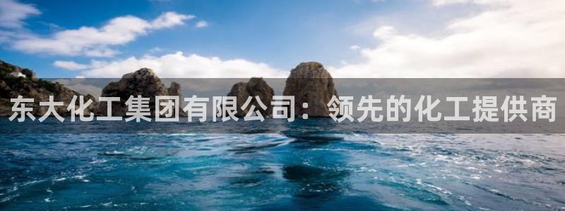 球盟会和中欧：东大化工集团有限公司：领先的化工提供商