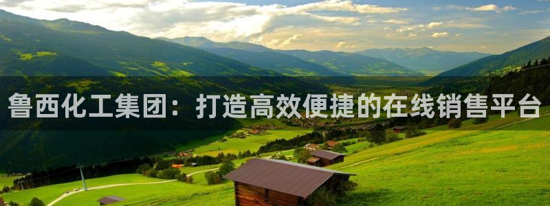 球盟会最新地址备用：鲁西化工集团：打造高效便捷的在线销售平台