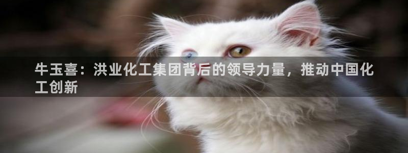 球盟会(中国)官方网站：牛玉喜：洪业化工集团背后的领导力量，