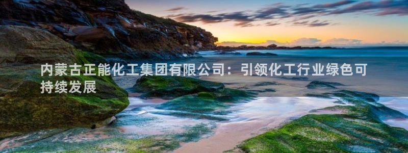 球盟会官方网站：内蒙古正能化工集团有限公司：引领化工行业绿色