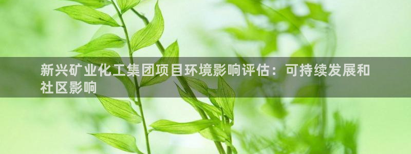 球盟会登录网址：新兴矿业化工集团项目环境影响评估：可持续发展