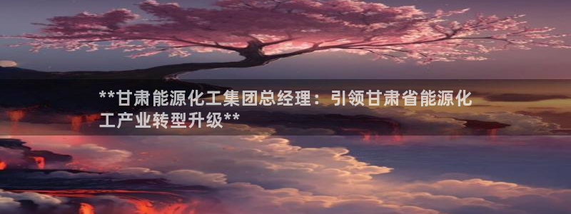 球盟会封禁：**甘肃能源化工集团总经理：引领甘肃省能源化
工