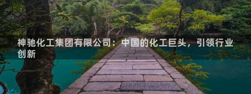 球盟会官方app首页入口：神驰化工集团有限公司：中国的化工巨