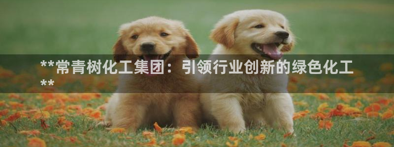 球盟会网址qm9 - 球盟会qmh网页版登录：**常青树化工