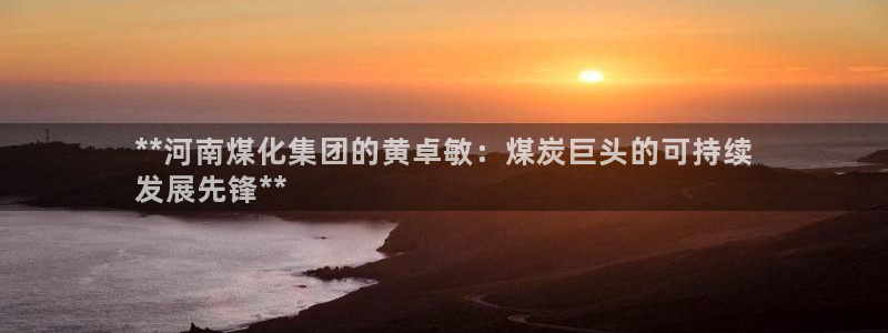 球盟会官方最新入口：**河南煤化集团的黄卓敏：煤炭巨头的可持