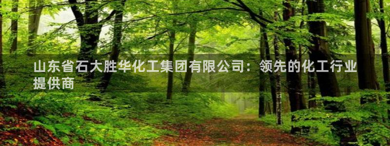 球盟会网页登录app下载地址：山东省石大胜华化工集团有限公司