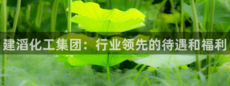 球盟会登陆：建滔化工集团：行业领先的待遇和福利