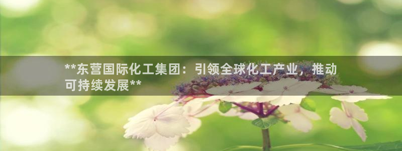 球盟会app：**东营国际化工集团：引领全球化工产业，推动
