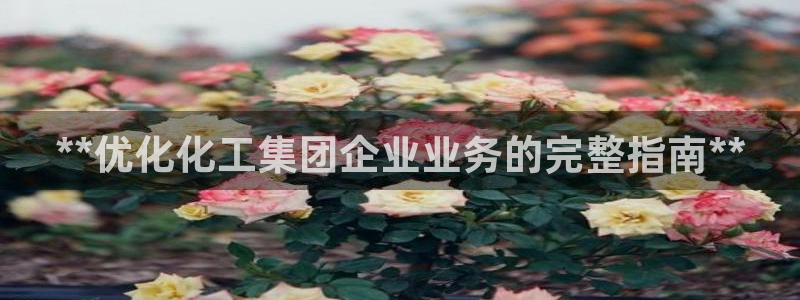 球盟会进不去吗：**优化化工集团企业业务的完整指南**
