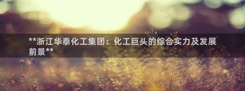球盟会app最新地址在哪找：**浙江华泰化工集团：化工巨头的