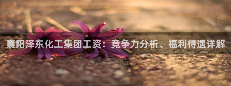 球盟会可以提现么：襄阳泽东化工集团工资：竞争力分析、福利待遇