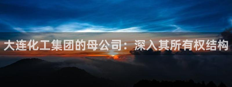 球盟会游戏：大连化工集团的母公司：深入其所有权结构