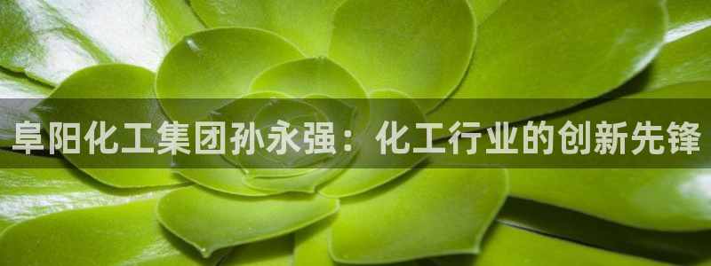 球盟会头号玩家是谁：阜阳化工集团孙永强：化工行业的创新先锋