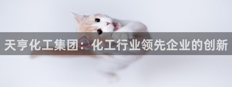 球盟会官方版下载地址：天亨化工集团：化工行业领先企业的创新