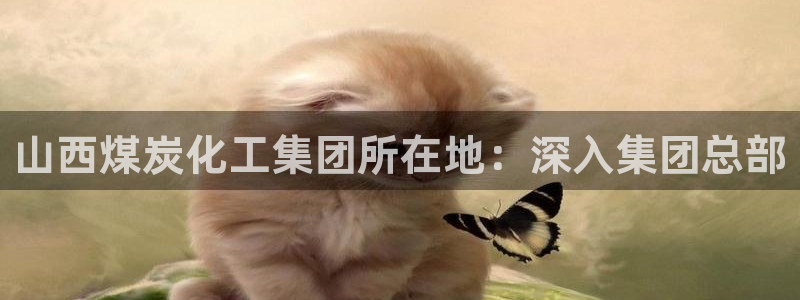 球盟会在线网站：山西煤炭化工集团所在地：深入集团总部