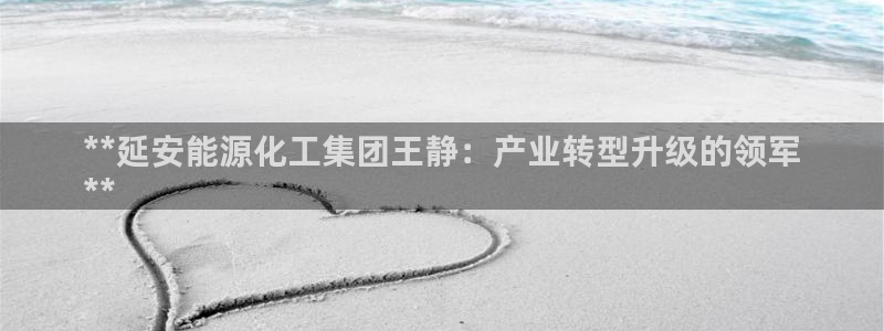 球盟会在线网站：**延安能源化工集团王静：产业转型升级的领军
