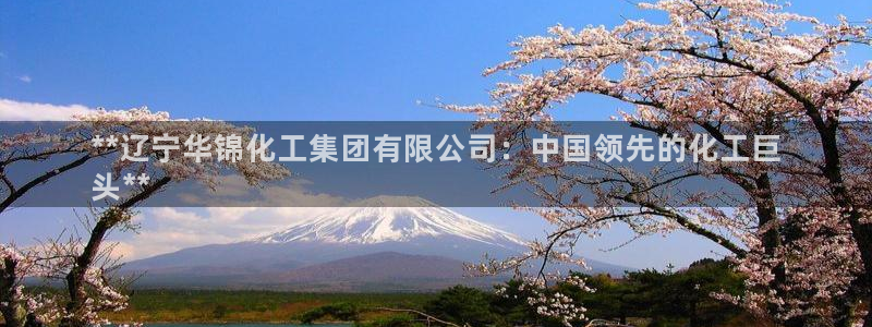 球盟会能提现吗安全吗：**辽宁华锦化工集团有限公司：中国领先