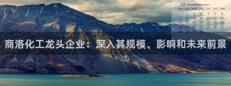 球盟会有没有黑单的活动：商洛化工龙头企业：深入其规模、影响和