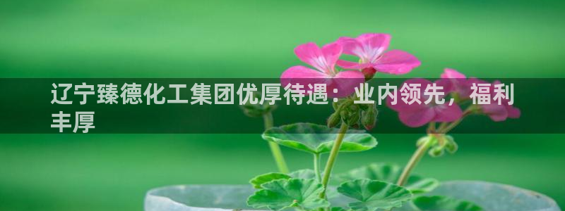 球盟会app安装：辽宁臻德化工集团优厚待遇：业内领先，福利
