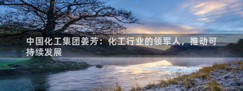 球盟会黑款吗知乎：中国化工集团姜芳：化工行业的领军人，推动可