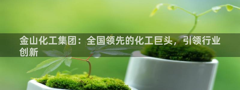 球盟会下款快吗：金山化工集团：全国领先的化工巨头，引领行业
