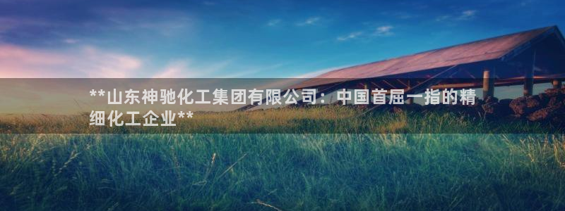 球盟会电子：**山东神驰化工集团有限公司：中国首屈一指的精
